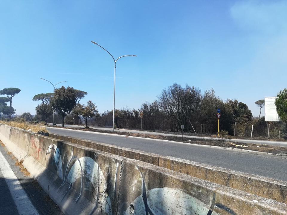 Le prime immagini del dopo incendio che ha devastato la pineta di Castelfusano a Ostia
